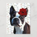 Suche nach boston terrier postkarten Antik