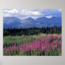 Suche nach yukon poster Natur