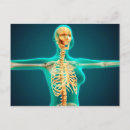 Suche nach rippen postkarten Detail