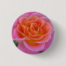 Suche nach orange ros buttons Rosa