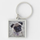 Suche nach pug schlüsselanhänger Puppy