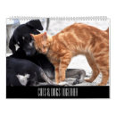 Suche nach freund büro zubehör Katzenkalender