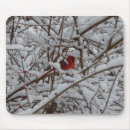 Suche nach roter baum mousepads Kardinal