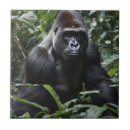 Suche nach primat fliesen Dschungel