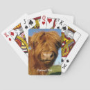 Suche nach cow spielkarten Tier