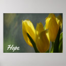 Suche nach hoffnungsvoll poster Blume