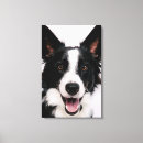 Suche nach collie leinwandbilder Tiere