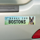 Suche nach boston terrier autoaufkleber Rettung