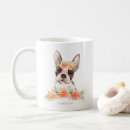 Suche nach boston terrier Niedlich
