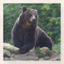 Suche nach gefährlich untersetzer Groß