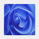 Suche nach rose abstrakt magnete Blau