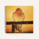 Suche nach tauben kleine notizbücher Vogelvogel