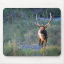 Suche nach stier mousepads Elche