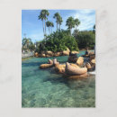 Suche nach seelöwen postkarten Siegel