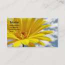 Suche nach gerbera visitenkarten Griechen