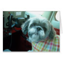 Suche nach cessna postkarten Fliegen