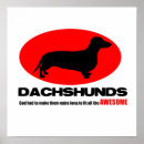 Suche nach dackeln poster Lustig