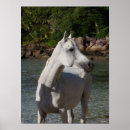Suche nach headshot poster Rasse