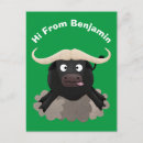 Suche nach büffel cartoon postkarten Lustig