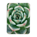 Suche nach botanik blatt magnete Blüte