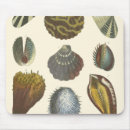 Suche nach seemuschel mousepads Ozean
