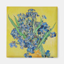 Suche nach schwertlilie magnete Blume
