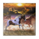 Suche nach läufer fliesen Land