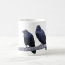 Suche nach raben tassen Ravens