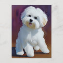 Suche nach bichon postkarten Aquarell