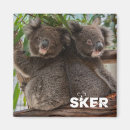 Suche nach koala magnete Niedlich