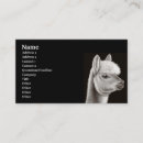 Suche nach peru andere visitenkarten Lama