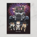 Suche nach eine coole katze postkarten Niedlich