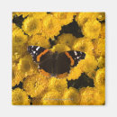 Suche nach farbbild magnete Blume