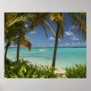 Suche nach westindien poster Tropisch