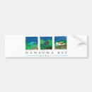 Suche nach honolulu hawaii autoaufkleber Oahu