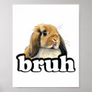 Suche nach ostereier poster Kaninchen