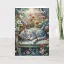 Suche nach banker karten Tier