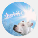 Suche nach pitbull aufkleber Tiere