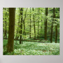 Suche nach waldplakat Holz