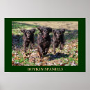 Suche nach spaniels poster Jagd