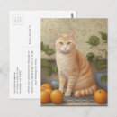 Suche nach orange katze postkarten Jede person