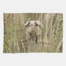 Suche nach rosa schwein geschirr tücher Schweine