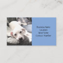 Suche nach blauer hund visitenkarten Jede person
