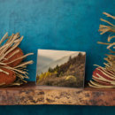 Suche nach nord fotoplatten Wald