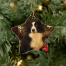 Suche nach collie ornamente Niedlich