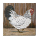 Suche nach huhn fliesen Weiß