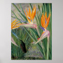 Suche nach strelitzia poster Tropisch