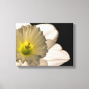Suche nach narzisse leinwandbilder Daffodil