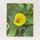 Suche nach calla puzzle Rätsel