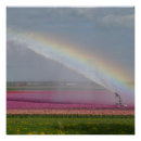 Suche nach bunte tulpen poster Jede person